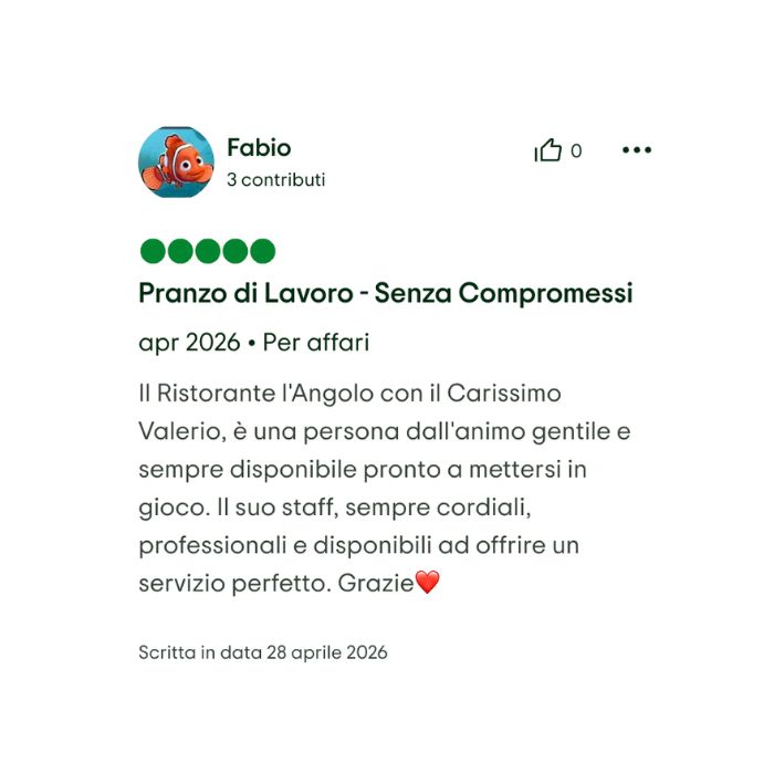 recensioni-tripadvisor-01